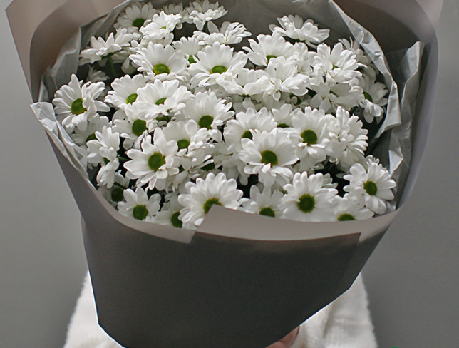 Buchet din 9 crizanteme albe foto